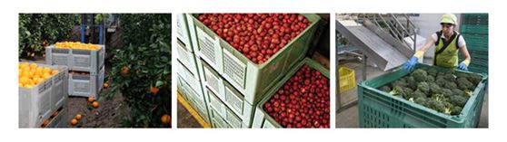 solid plastic pallet bin-2