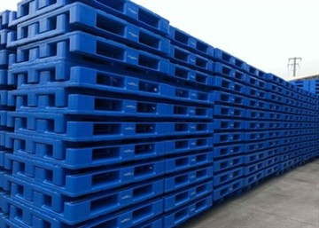 معیاری پیلیٹ سائز کے طول و عرض کو سمجھنا