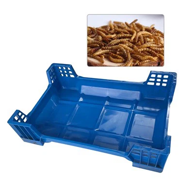 BSF Breeding Box